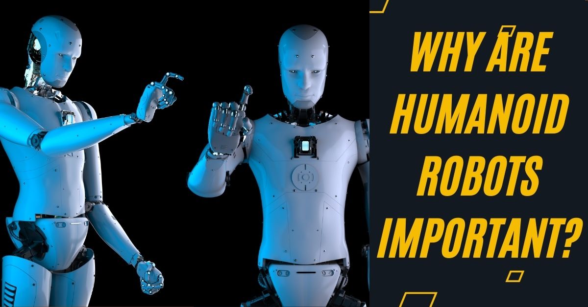 Humanoid-Robot